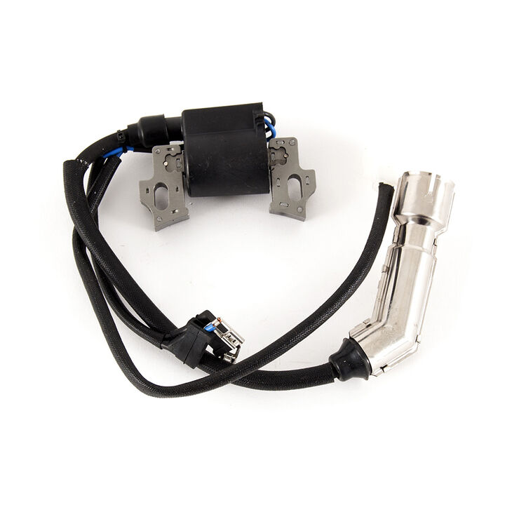 Ignition Module