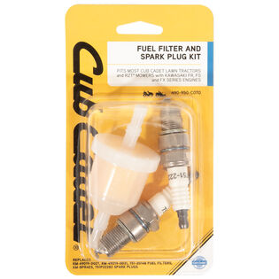 Fuel Filter & Spark Plug Kit