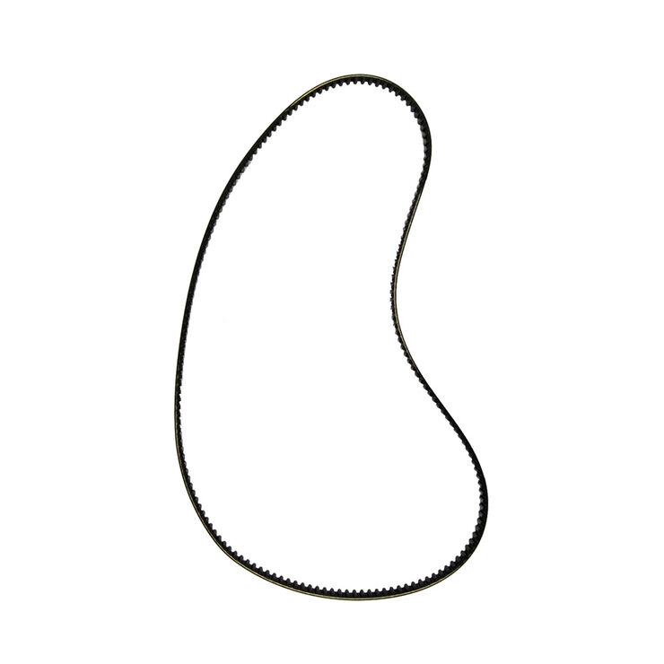 Timing Belt
