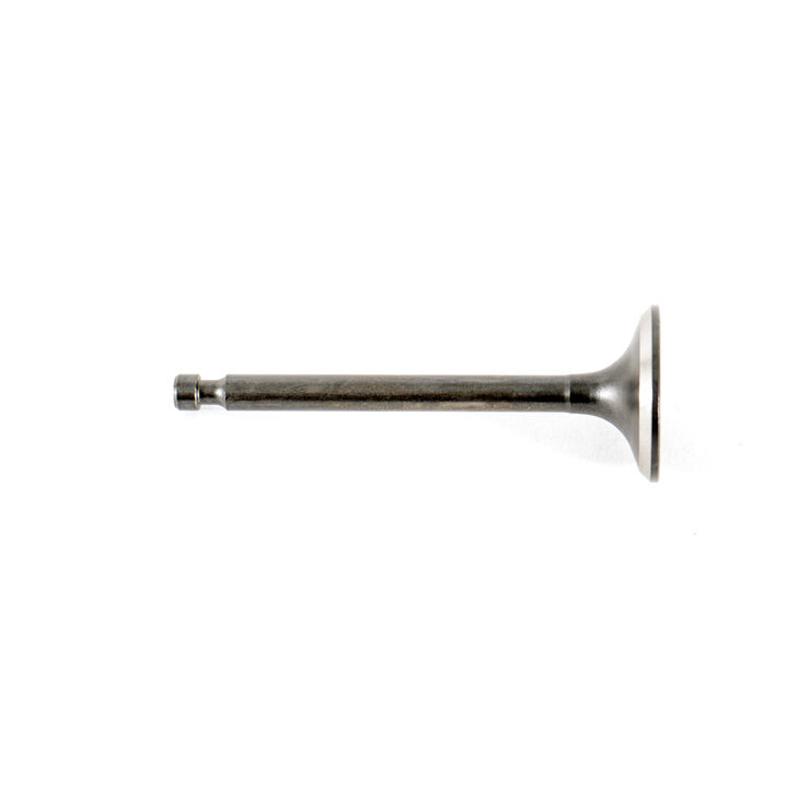 EXHAUST VALVE                 