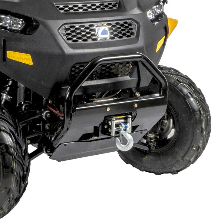 WINCH W/MOUNT HONGRUI        N