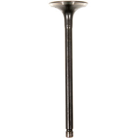 INTAKE VALVE                  