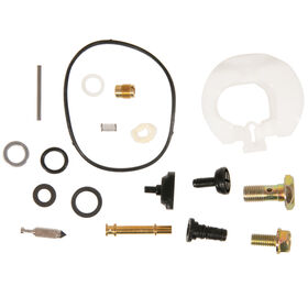 CARBURETOR KIT