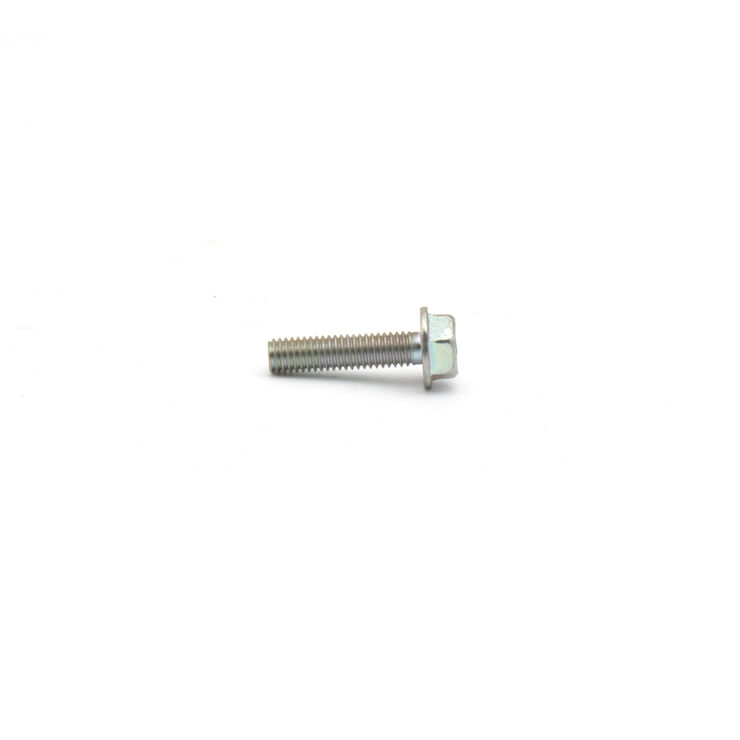 Flanged Bolt 6x25