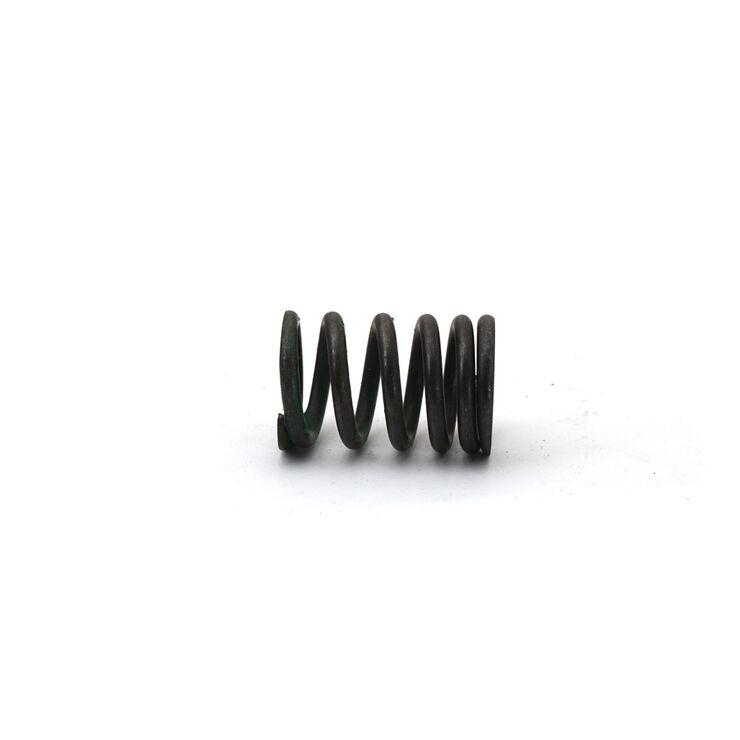 EXHAUST VALVE SPRING          