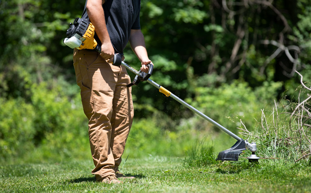 hand held lawn edge trimmer