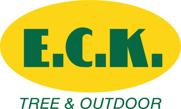The dealer logo