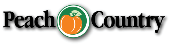 The dealer logo