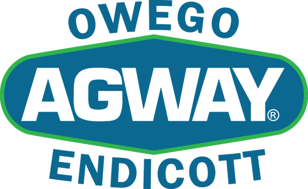 The dealer logo