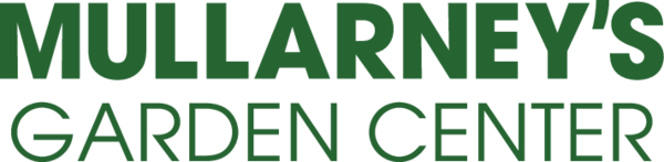 The dealer logo
